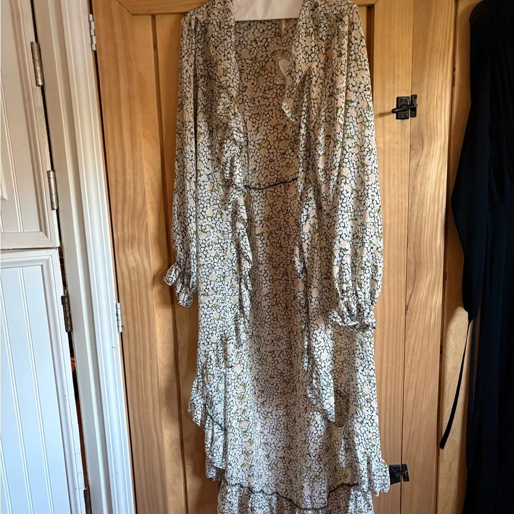 Free People Sheer Floral Ruffle Long Sleeve Maxi